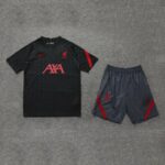 Conjunto de entrenamiento Liverpool 2020/21 diseño frontal