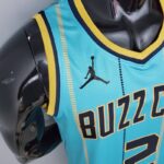 Camiseta Charlotte Hornets Green Edition - Imagen 2