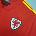 Primera equipación Stadium Gales 2020/21 - Imagen 5