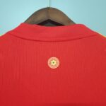 Primera equipación Stadium Gales 2020/21 - Imagen 8