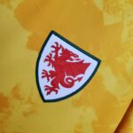 Segunda equipación Stadium Gales 2020/21 - Imagen 5