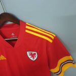 Primera equipación Stadium Gales 2020/21 - Imagen 3
