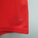 Primera equipación Stadium Gales 2020/21 - Imagen 7