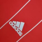 Camiseta local Retro Gales 2015/16 - Imagen 6