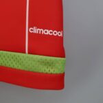 Camiseta local Retro Gales 2015/16 - Imagen 7