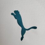 Segunda equipación Stadium Manchester City 2021/22 - Imagen 7