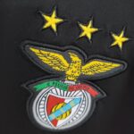 Camiseta alternativa Retro Benfica 2009/10 - Imagen 7