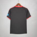 Camiseta alternativa Retro Benfica 2009/10 diseño dorsal