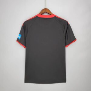 Camiseta alternativa Retro Benfica 2009/10 diseño dorsal