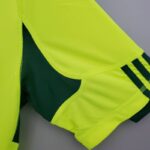 Camiseta alternativa Retro Palmeiras 2010/11