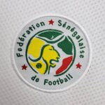 Camiseta alternativa Retro Senegal 2002