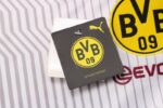 Camiseta calentamiento Borussia Dortmund 202122