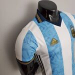 Camiseta Argentina Edicion Especial 2022 pecho lateral