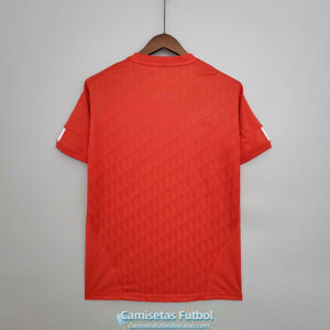 camiseta liverpool 2011 dorsal