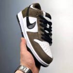 Nike Dunk SB Low Casual Sneakers lateral 2