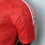 Camiseta Bayern Munich versión jugador 2022-2023 manga