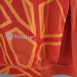 Camiseta Cruzeiro portero 2022-2023 naranja tecnología