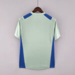 Camiseta Treino Palmeiras 2022-2023 verde claro dorso