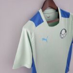 Camiseta Treino Palmeiras 2022-2023 verde claro lateral