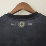 Camiseta Argentina Edición Especial 2022 dorso del cuello