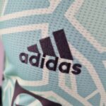 Camiseta Manchester United Portero- verde 2022-2023 versión jugador logo