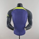 Camiseta Tottenham segunda equipación 2022-2023 - versión jugador dorso