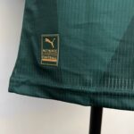 camiseta palmeiras verde 2023-2024 parche
