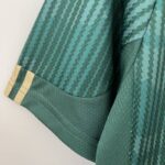 Camiseta Palmeiras 2024 manga