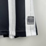 camiseta santos fc 2024 segunda parche umbro