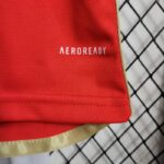 camiseta del benfica 2024 logo aeroready