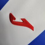 camiseta leganes 2024 logo