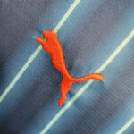 valencia cf camiseta 2024 logo puma