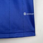 camiseta del palmeiras material