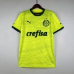 palmeiras camiseta