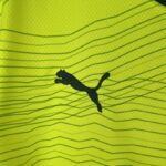 palmeiras camiseta logo puma