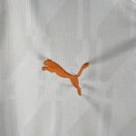 segunda equipacion manchester city 2024 logo puma