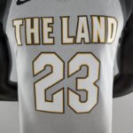 camiseta cleveland gris diseño 2