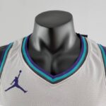 camiseta hornets gris cuello en V y logo jordan