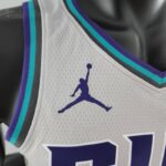 camiseta hornets gris logo jorddadn y bordes en celeste azul y negro en el cuello y manga