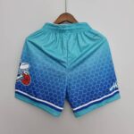 pantalon corto hornets azul parte trasera
