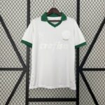 Camiseta palmeiras 2025
