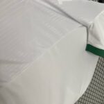 Camiseta palmeiras 2025 lateral