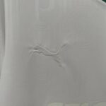 Camiseta palmeiras 2025 logo