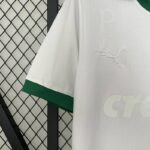 Camiseta palmeiras 2025 manga