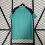 camiseta españa 2010 dorsal