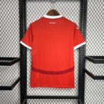 Camiseta Austria – Eurocopa 2024/2025 - Imagen 2