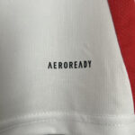 Camiseta Perú Copa América Local 2024/2025 - Imagen 8