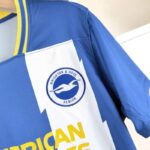 camiseta-Brighton-hove-albion-escudo