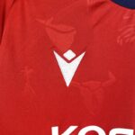 Camiseta Osasuna primera equipacion 2025 logo