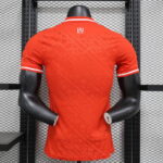Camiseta Real Madrid edicion especial Rojo versión jugador 2025 dorsal